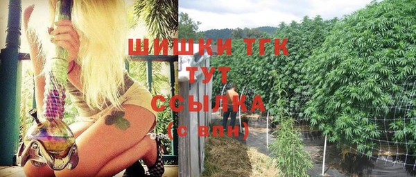 спайс Мегион