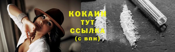 мяу мяу мука Медвежьегорск