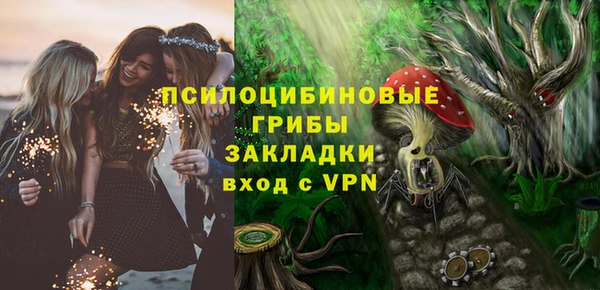 герыч Медногорск