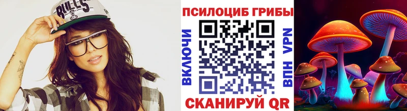 Галлюциногенные грибы Psilocybe Устюжна